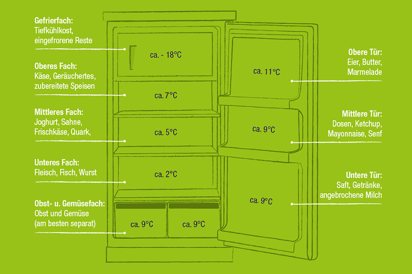 Kühlschrank von innen mit verschiedenen Kältezonen