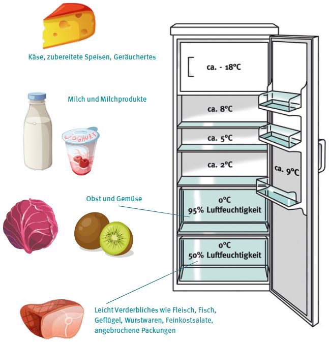 Welche Lebensmittel gehören im Kühlschrank wohin