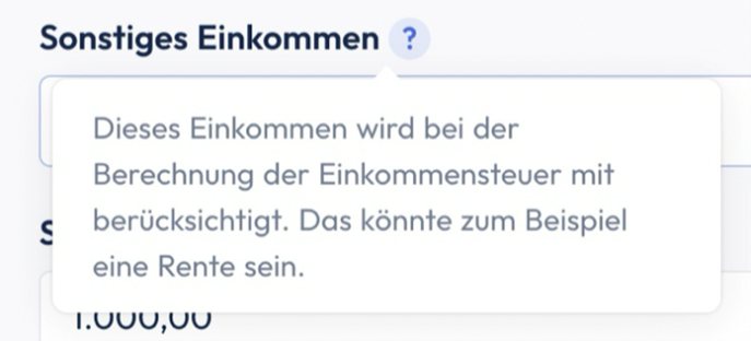 Screenshot mit Text: Sonstiges Einkommen: Dieses Einkommen wird bei der Berechnung der EInkommensteuer mit berücksichtigt. Das könnte zum Beispiel eine Rente sein