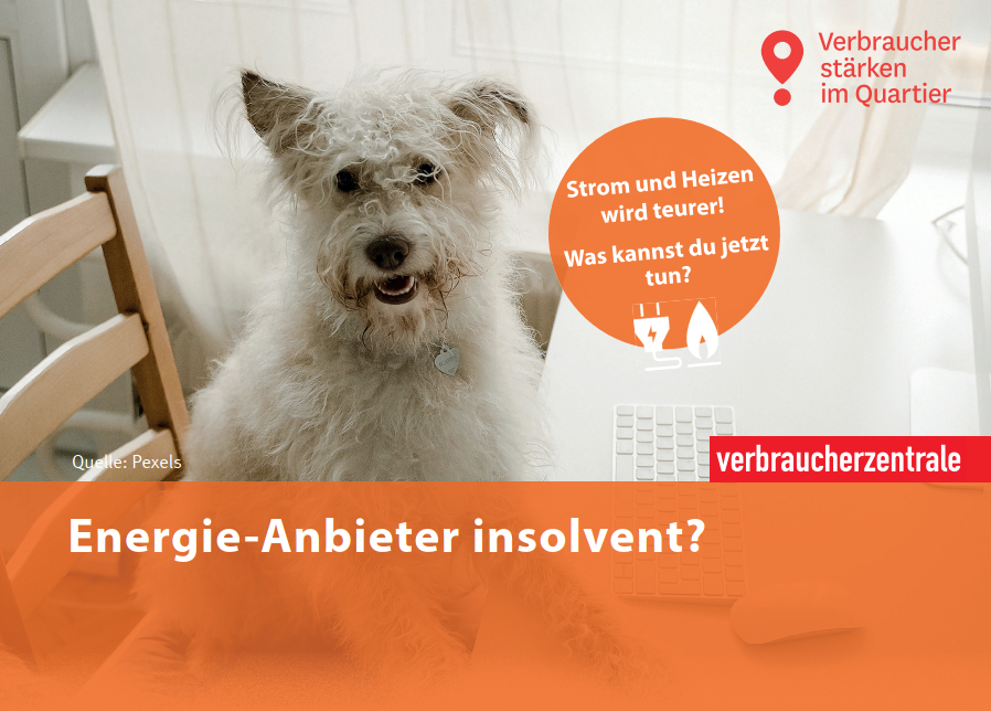 Postkarte Vorderseite: weißer kleiner Hund sitzt am Tisch vor Tastatur. Text darunter: Energieanbieter insolvent.