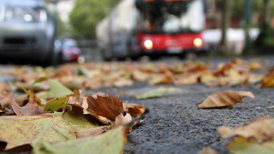 Blätter liegen auf einer Straße, im Hintergrund sind ein parkendes Auto und ein fahrender Bus zu sehen.