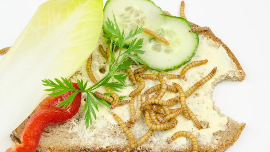Essbare Insekten auf einem Brot