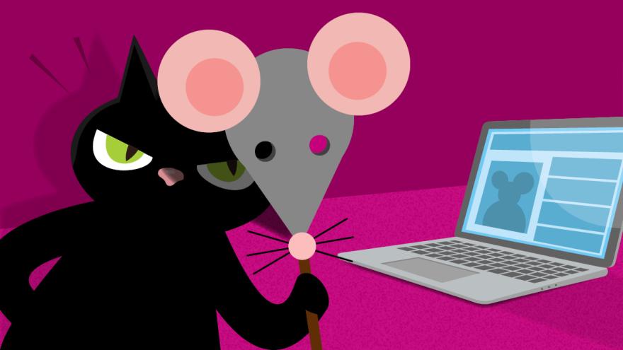 Eine Katze hält sich eine Mäuse-Maske vor das Gesicht und sitzt vor einem Laptop. Dies symbolisiert einen Idetitätsmissbrauch im Internet.