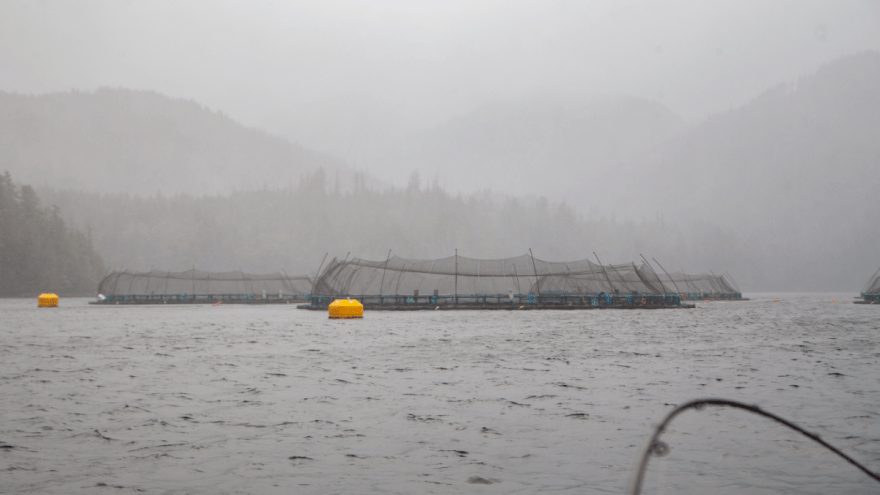 Aquakultur-Farm vor der Küste von British Columbia