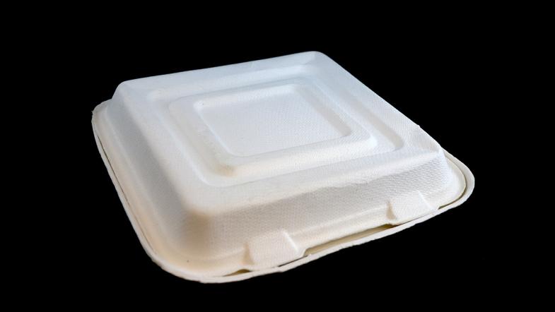 Verpackung aus Bagasse